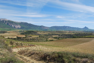 Rioja Alavesa